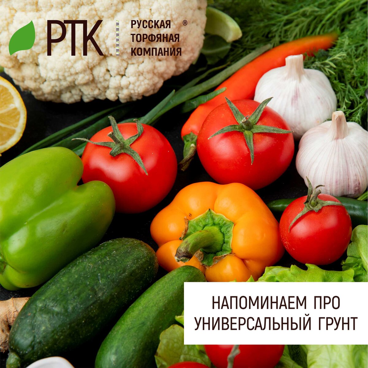              Что делать, если что-то не так? То есть, всё так, но где-то, что-то не вполне? Вот начали вы высаживать томаты, а грунта не хватило? Или сеете вы морковь, а земелька так себе? Или подготовили грядку для кабачков, а в лунки насыпать нечего?
И вообще сходных по своим характеристикам ситуаций – масса! Делать-то что?
Вот тут нам и пригодится Универсальный грунт от Русской Торфяной Компании! 
Идея его разработки сводима к тому, чтобы не навредить ни одному виду растений при его использовании.  
С нашей точки зрения, нам это удалось! Это же подтверждают и садоводы. Так что, если вы вдруг увидите Универсальный грунт с логотипом РТК, то купите – обязательно пригодится, срок хранения-то не ограничен! Тем более, что запасы грунтов в магазинах не бесконечны – может и не достаться… 
Ну а если будут вопросы – пишите! Мы всегда рады общению!
Вырастет всё!


     #РТК #универсальныйгрунт #почвогрунты #грунты
