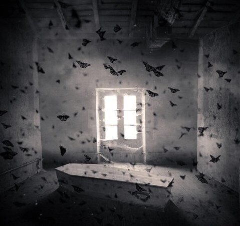 #мистика #мистические истории #мистические рассказы #страшные истории #страшилки на ночь #паранормальное #паранормальные явления 