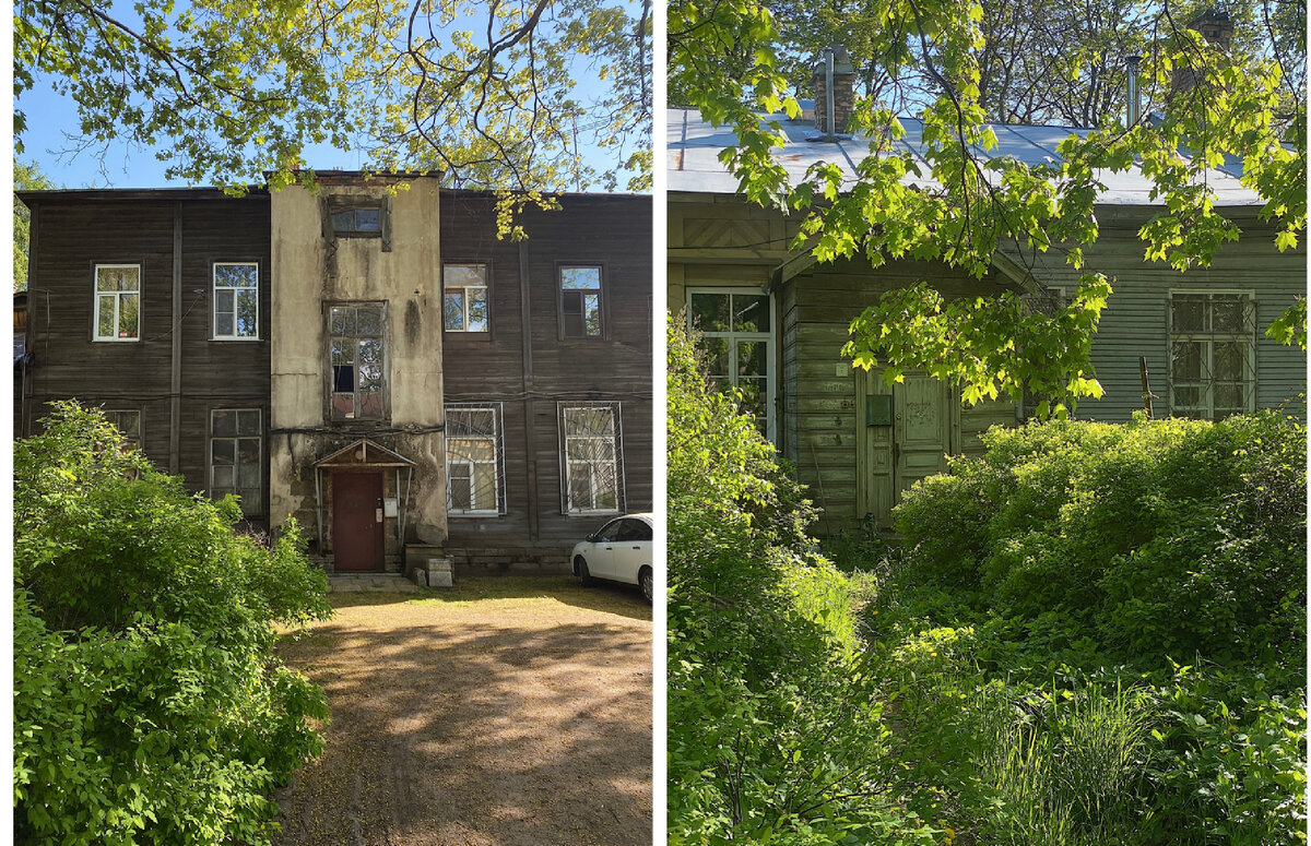 Как там внутри. Жилые дома в парке Лесотехнической академии | stalinka ...