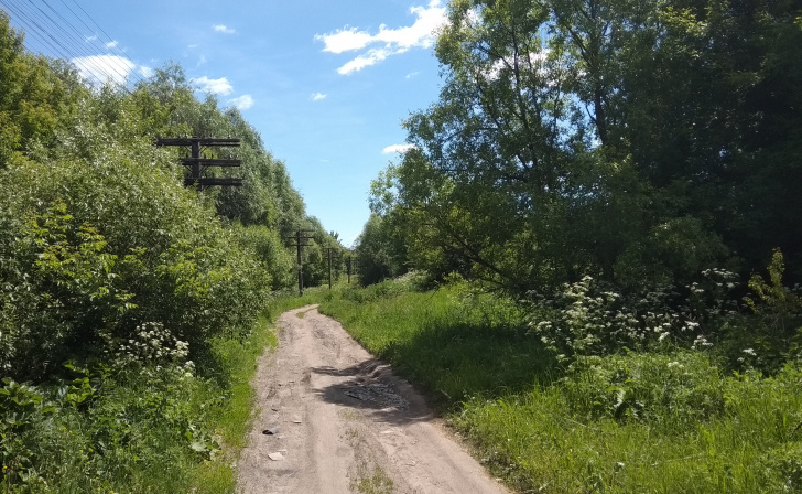    Курская прокуратура наводит порядок в охотничьем хозяйстве