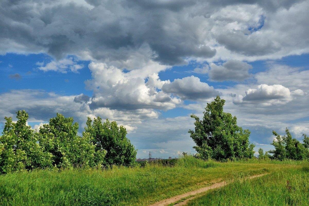 Погода дика. Июль пейзаж. Июльский пейзаж. Среднерусский пейзаж. Июнь пейзаж.