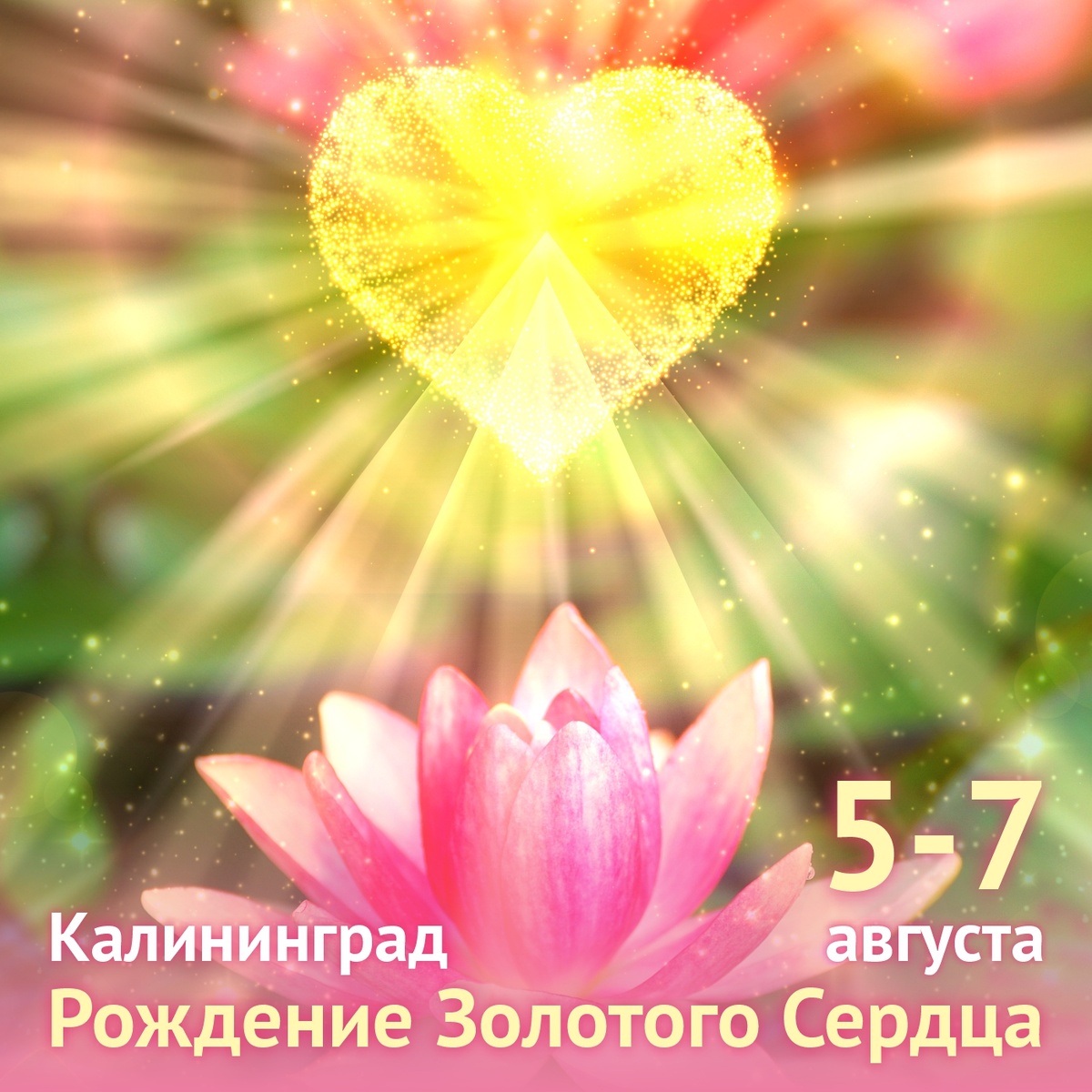Программа мероприятия