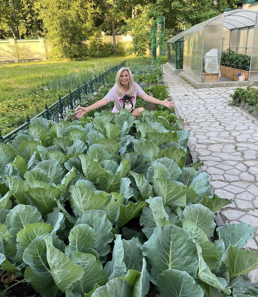 Скрин автора из открытого источника Телеграм