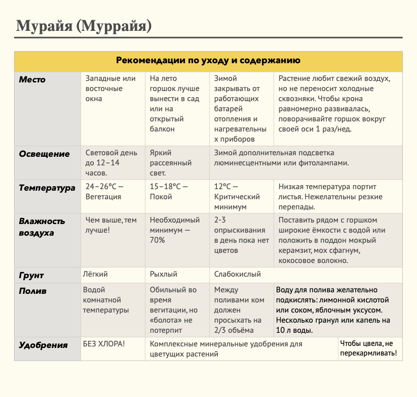 Мурайя в домашних условиях. Шпаргалка