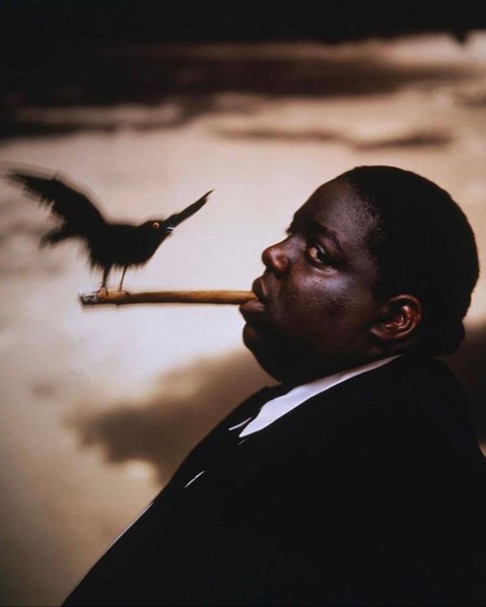 Кристофер Джордж Латор Уоллес, известный как The Notorious BIG,  сфотографированный Гаем Арочом (1996)
