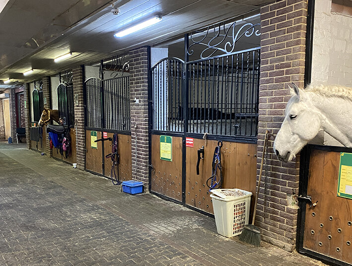 Национальный конный парк «Русь»
