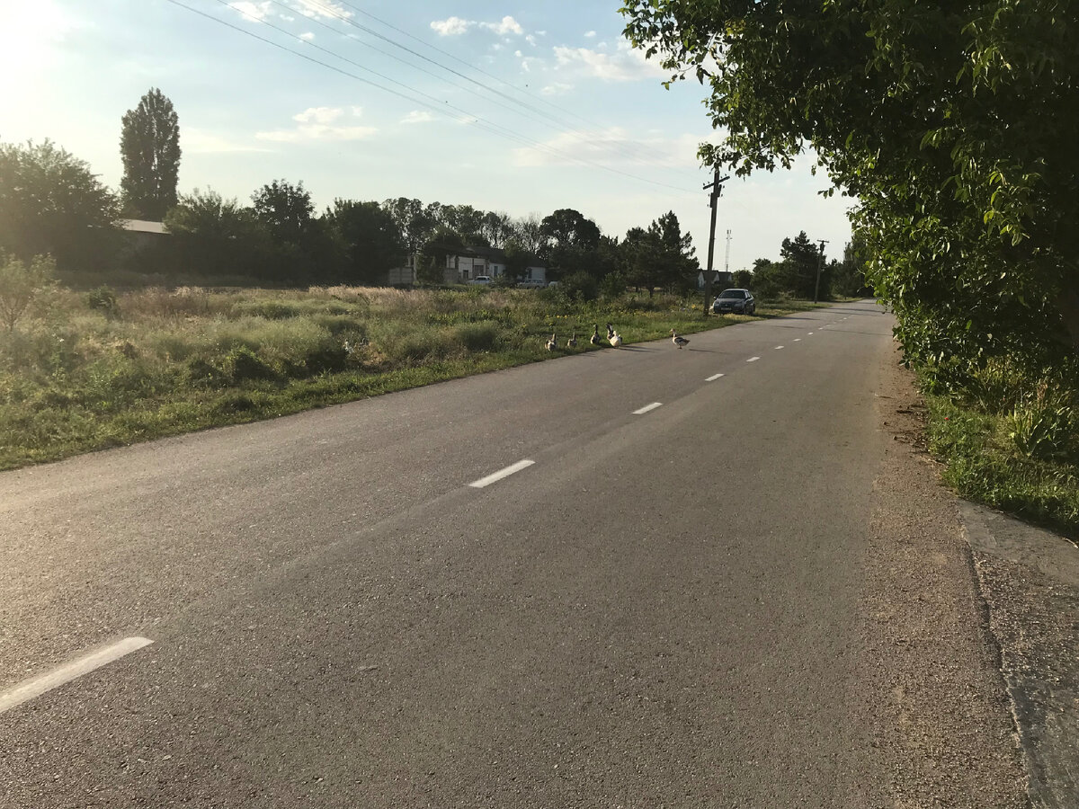 Дорога рядом с домом бабушки моей супруги