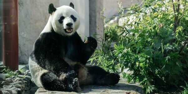    Фото: www.mos.ru