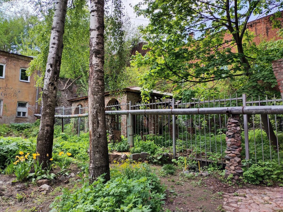 Какие-то дебри, но таинственные дебри