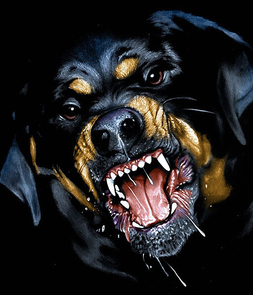 Милосердие зверя...