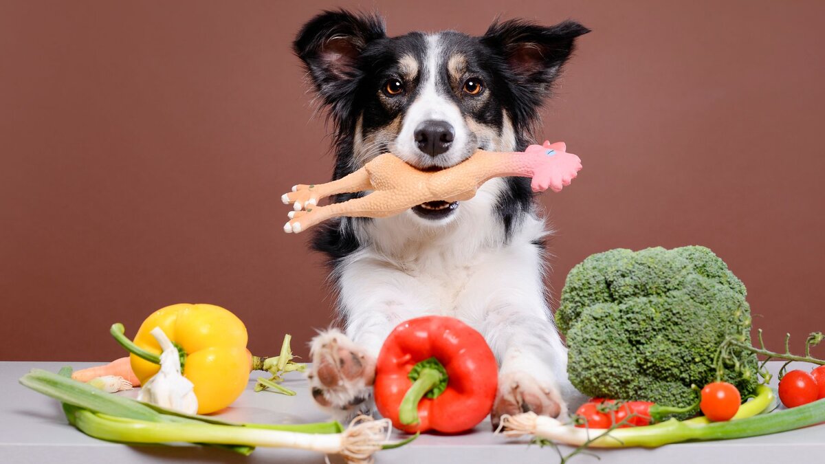 Собака с овощами 