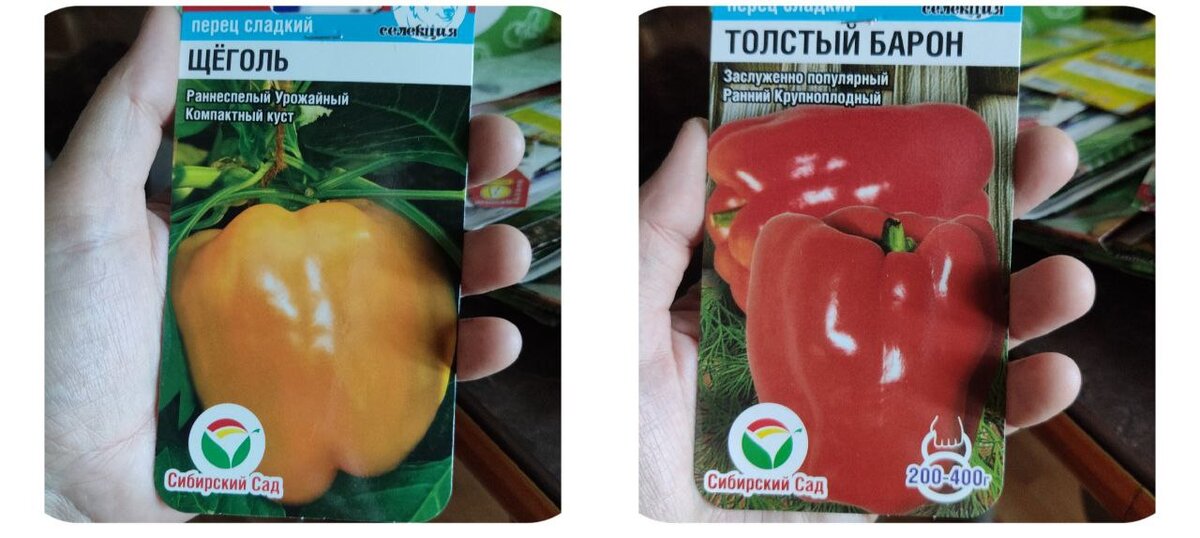 Перец сорт толстый барон отзывы фото