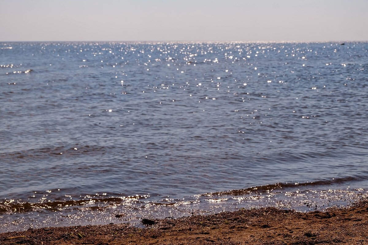 Зеленогорск Балтийское море