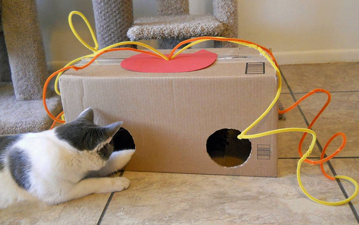 Игрушки для кошек своими руками: 20 идей для вашей кошки - Блог о Кошках Британской Породы