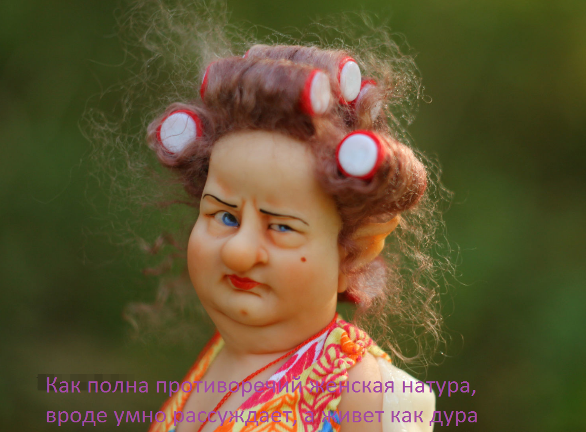 яндекс.Картинки, свободный доступ