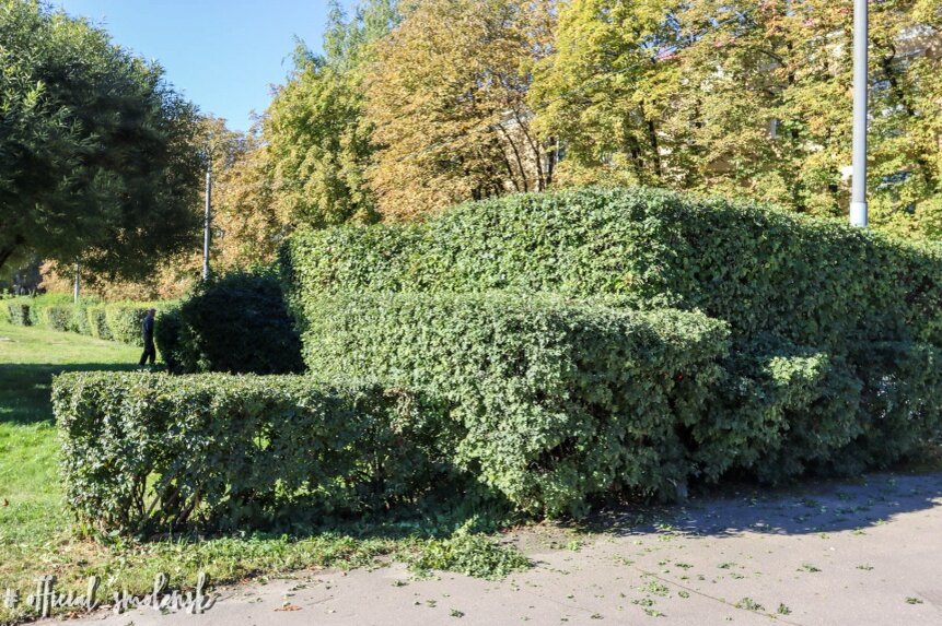   Ия Ястребкова