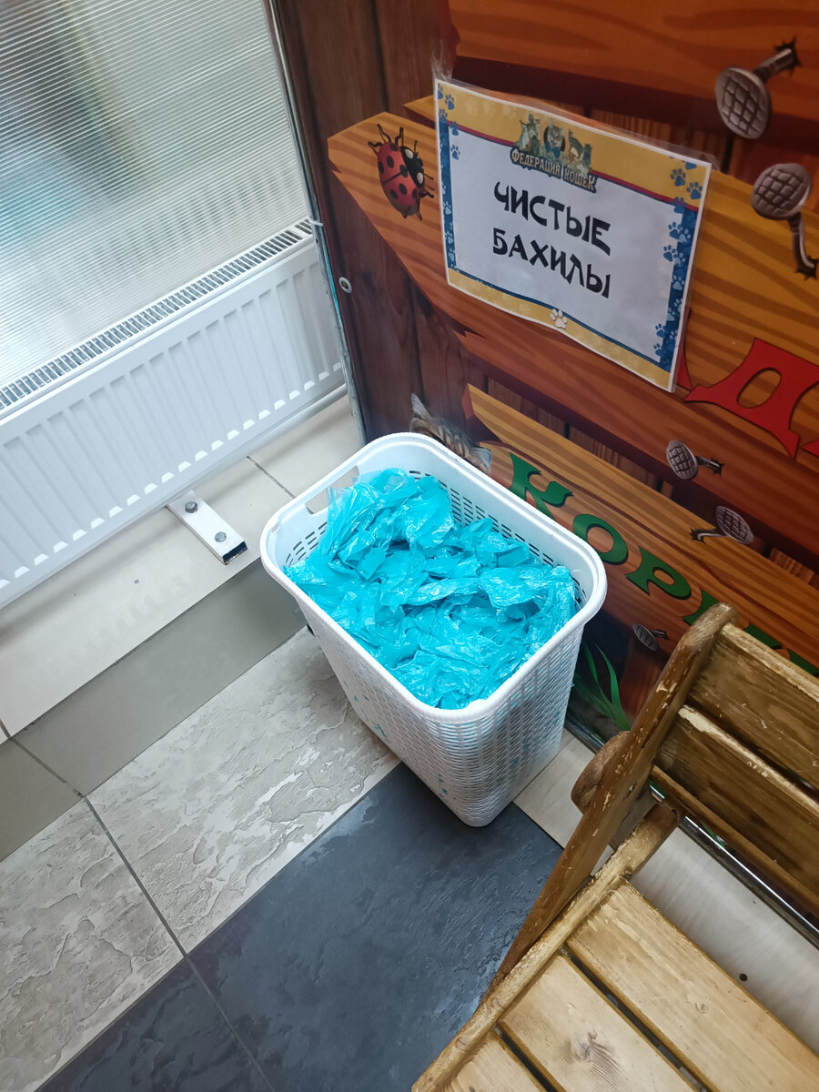 Все фото сделаны автором