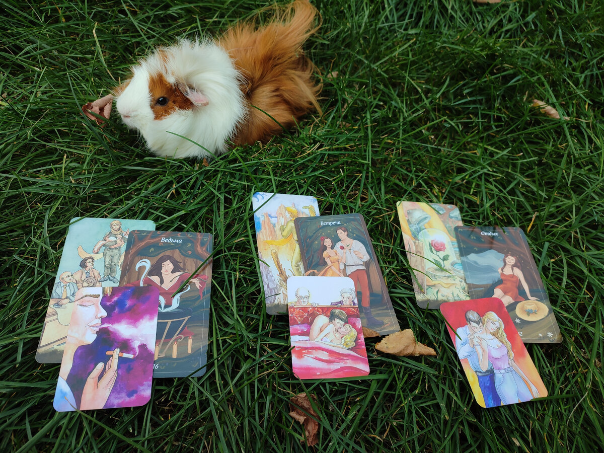 А вот и ответы