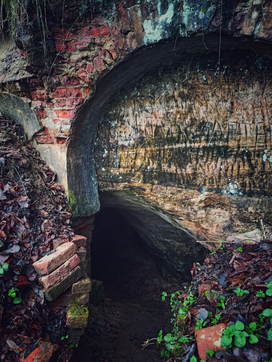 Автор фото: Надежда Савинова