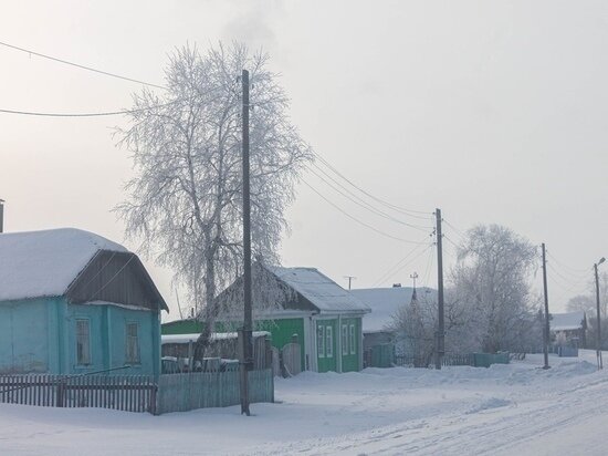     Фото: Густаво Зырянов / "МК в Омске"