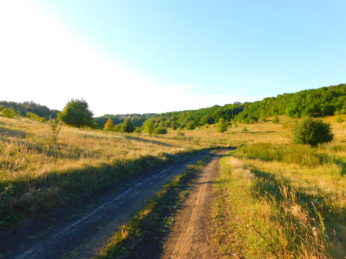 Фото автора канала