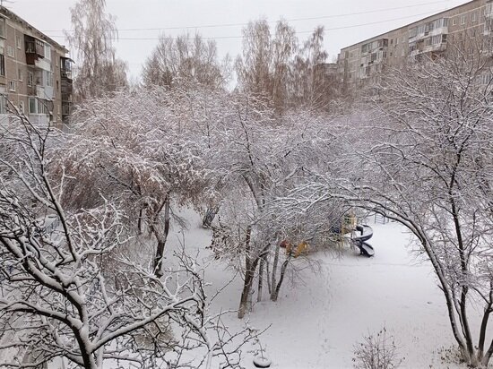     фото: Николай Курилов / МК-Урал