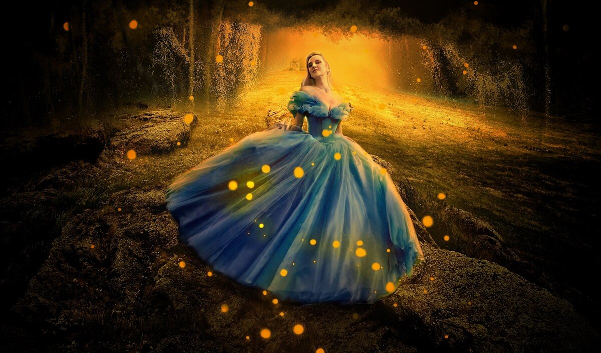 Image by Syaibatul Hamdi from Pixabay
