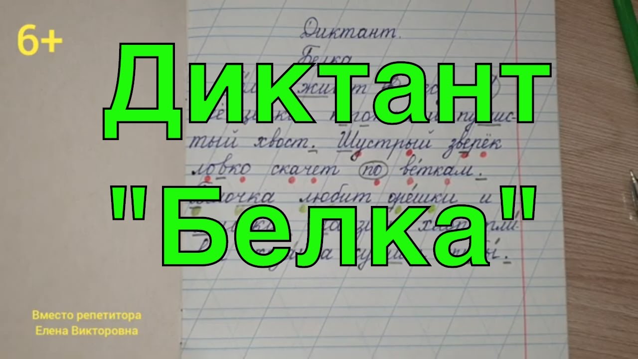 Диктант Белка с грамматическим заданием