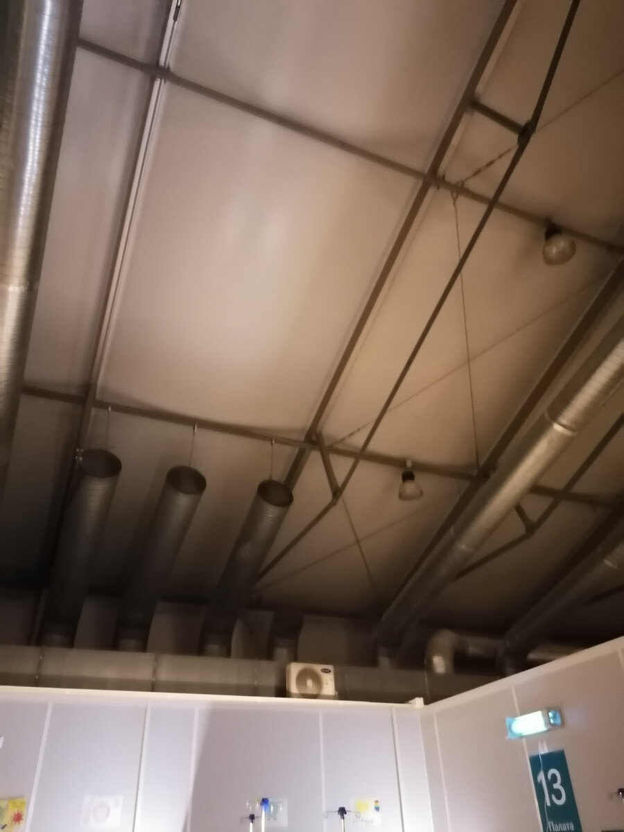 Сокольники.  Потолки и "палата"