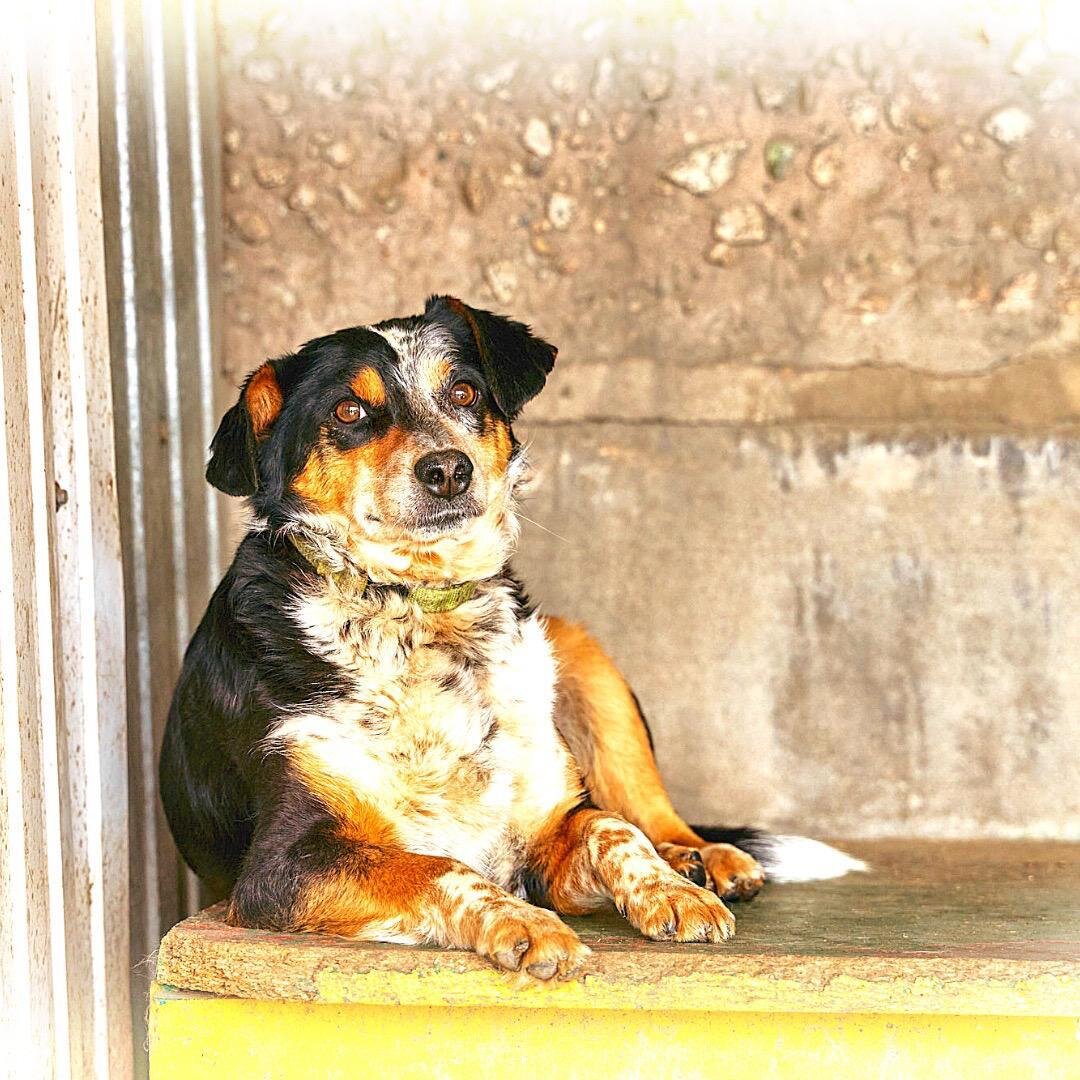 Дима передаёт вам огромный привет