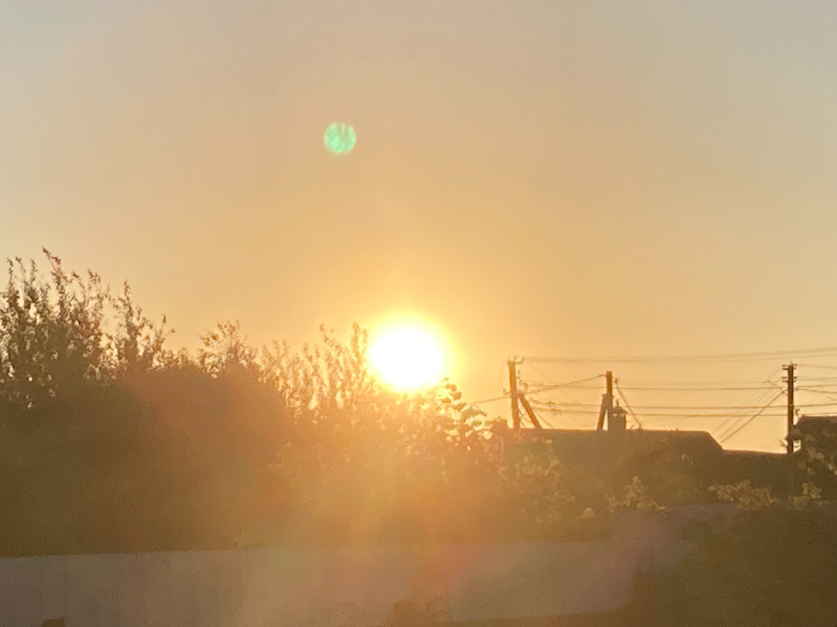 Солнце клонится к закату подобно культурному уровню яростных адептов нравственности. Фото автора