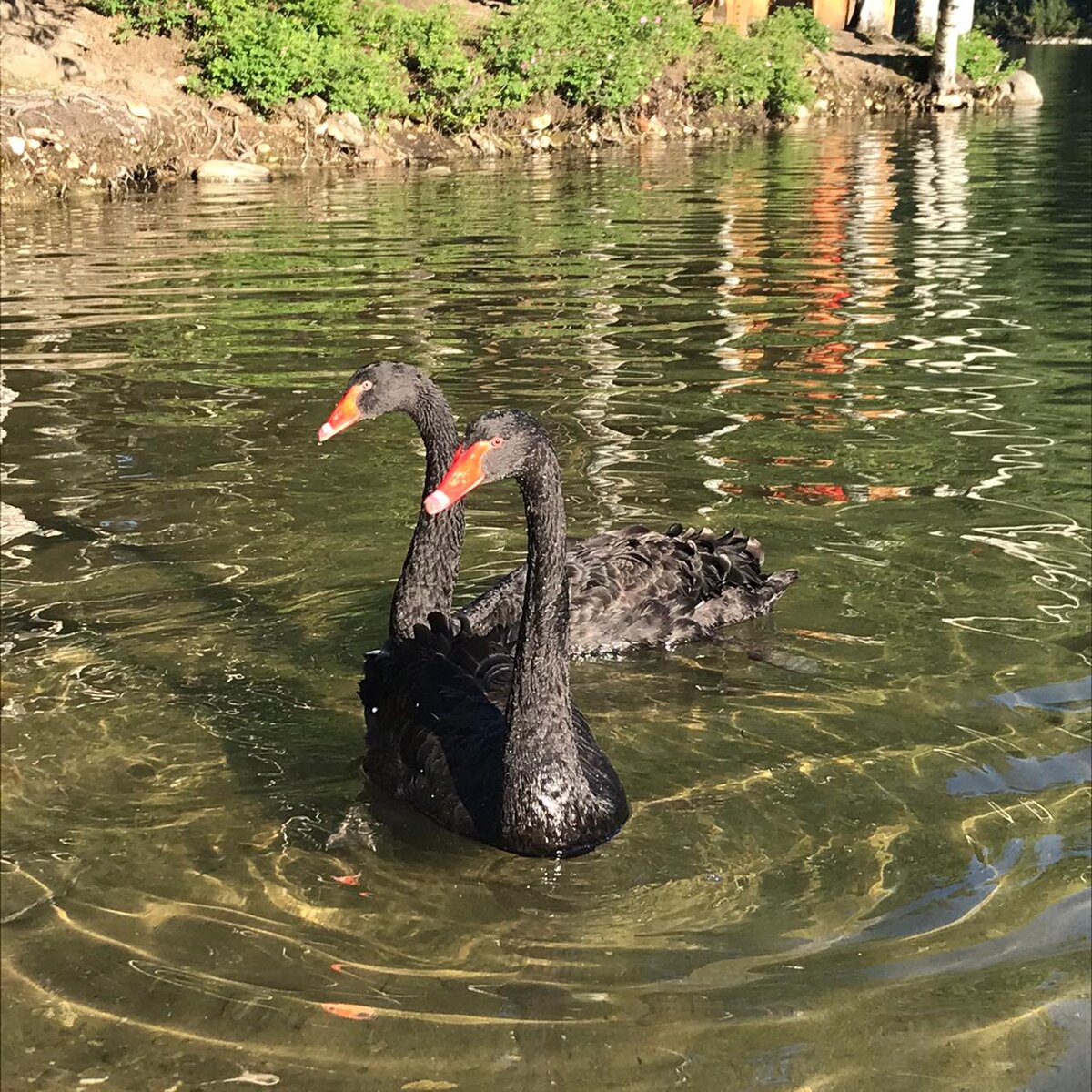 Байкал удивляет каждый раз🦢 Моя поездка на 