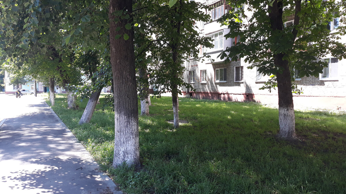 Вот этот газон около дома номер 53 по проспекту Ленина, город Клинцы.