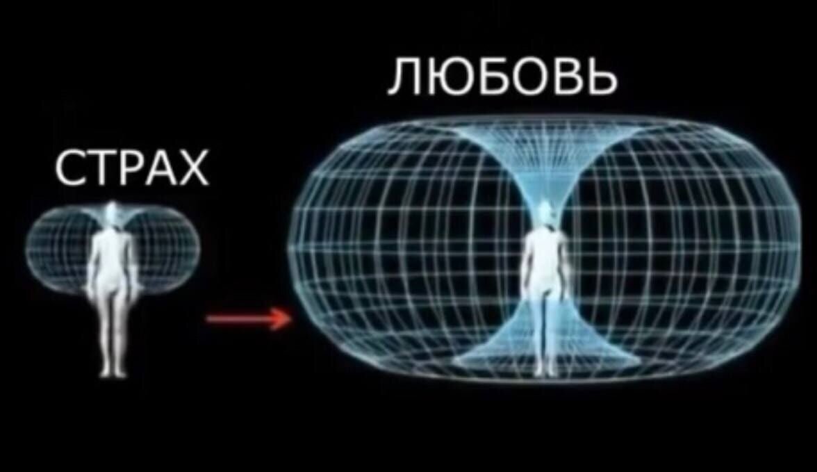 Изображение взято из открытых источников