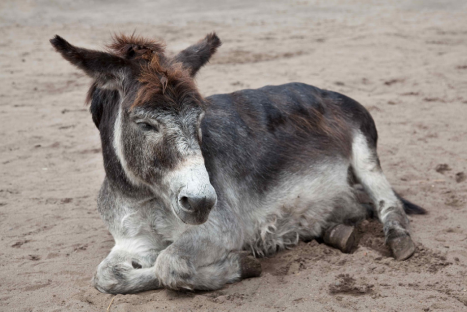 Фото из Яндекс-портала.