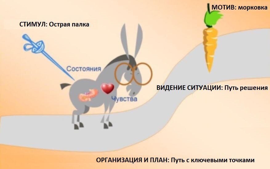 Мотивация - великая сила. Если ее нет, считайте, что вы не хотите ничего и ничего не достигнете. Это своеобразный двигатель для достижения любых целей.-4