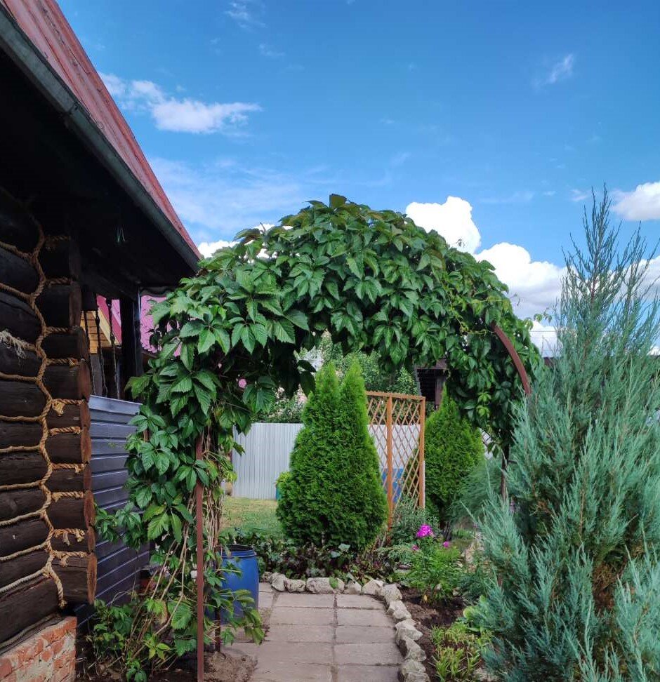 Фото автора