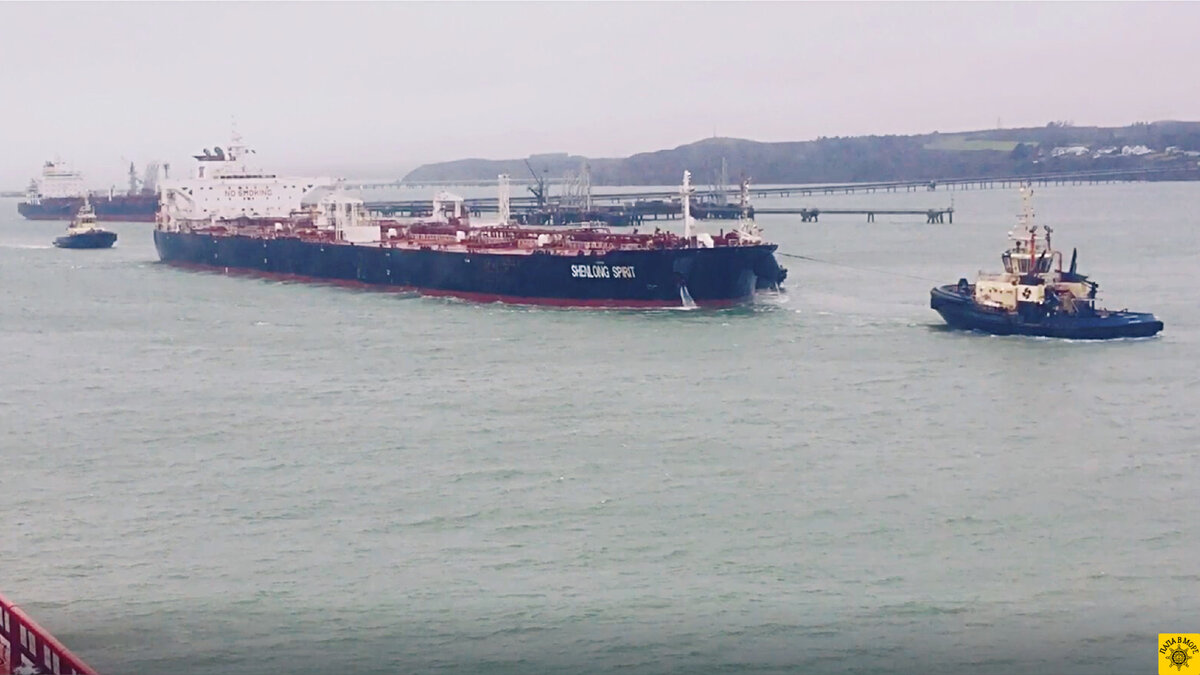 Сколько буксиров нашли на фото? Пишите в комментариях))