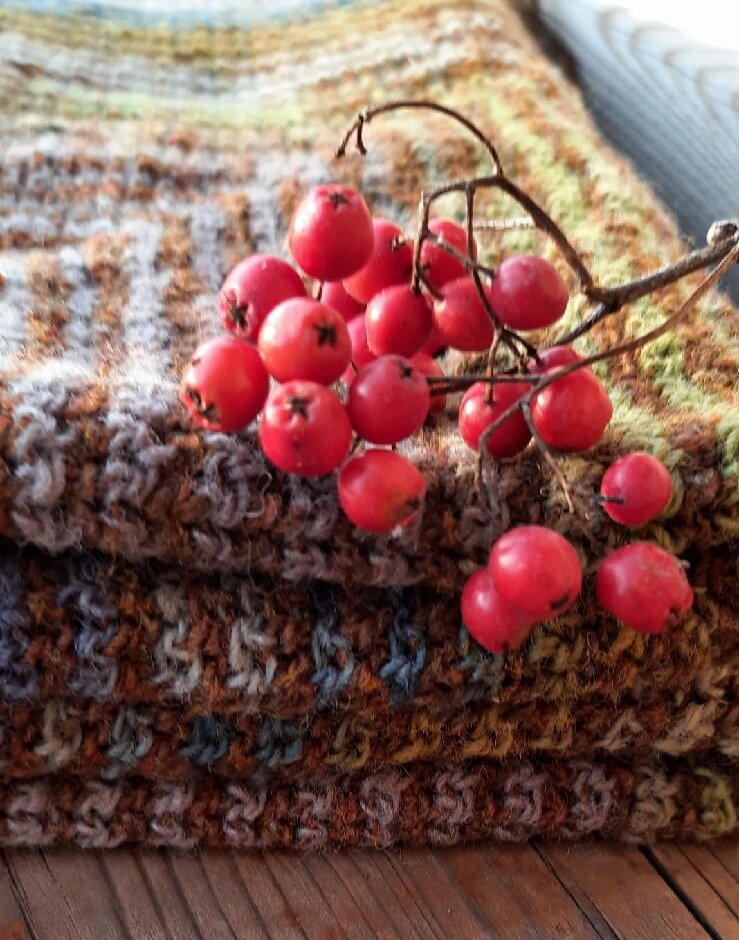 Последнее октябрьское солнышко и новый  вкусный проект