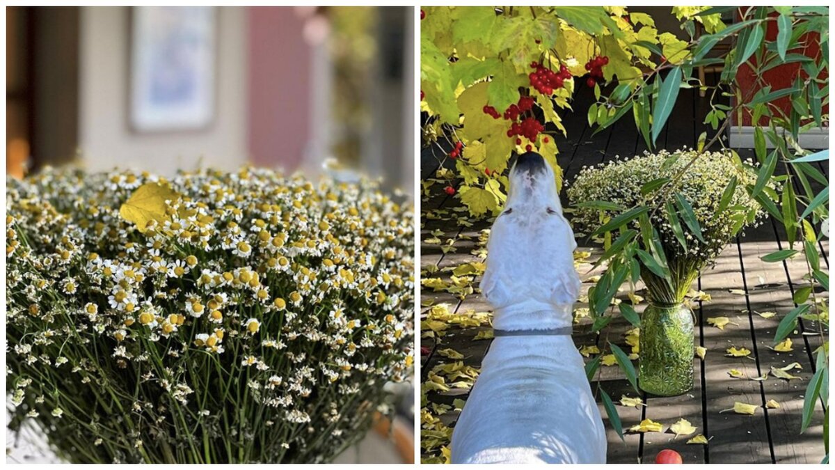 Кадры из Instagram актрисы