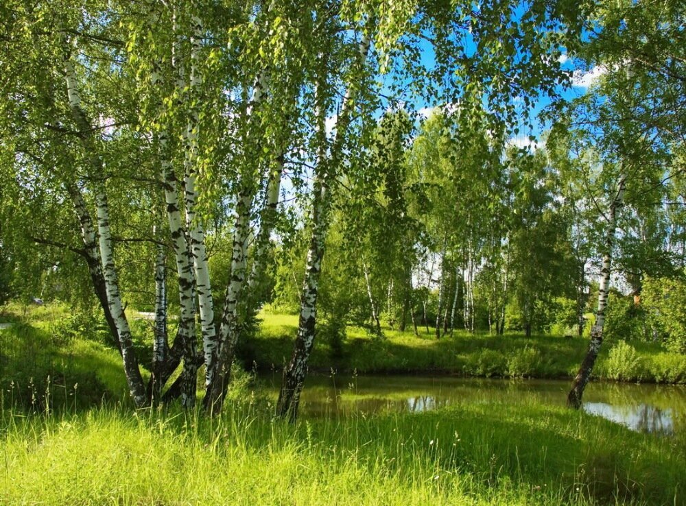 Фото взято из открытых источников