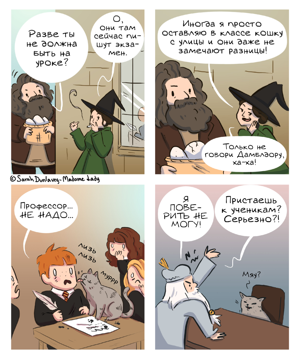 Ты волшебник, Гарри» - 10 комиксов про Гарри Поттера и мир магии | Смешные  картинки | Дзен