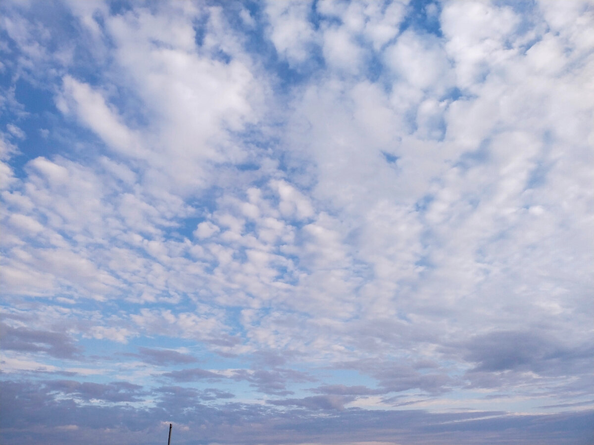 Что происходит? - в отчаянии думал старик. Фото автора канала