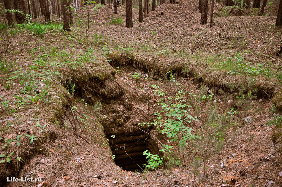 Фото из открытых источников.