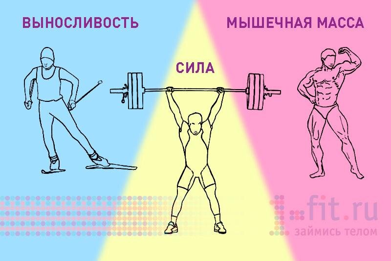 http://1-fit.ru/articles/Sila_ili_massa/?tags=упражнения
