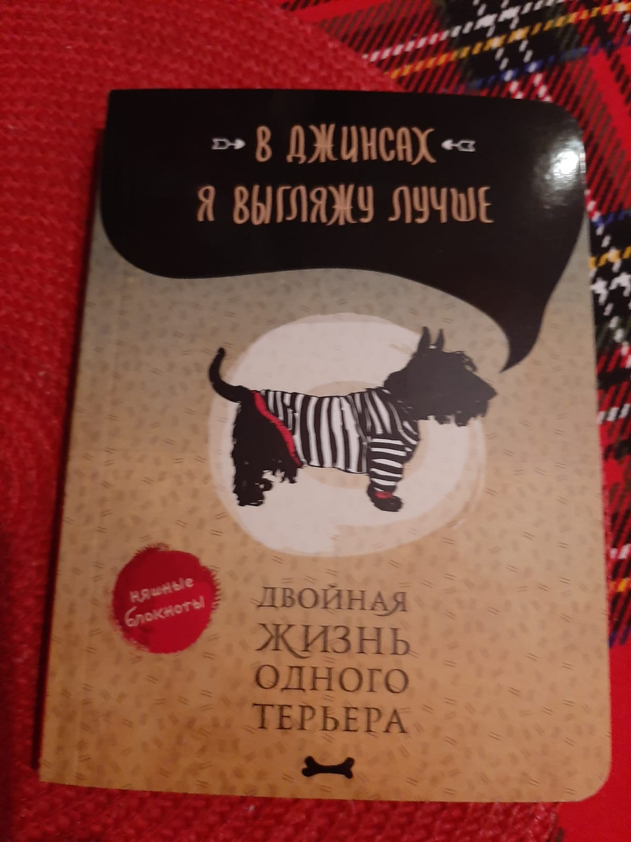 СКОТТИЧЕЙНЧ В МОЕМ ДОМЕ (ПРОДОЛЖЕНИЕ) | ДОМ, В КОТОРОМ ЖИВЕТ ДЕТСТВО | Дзен