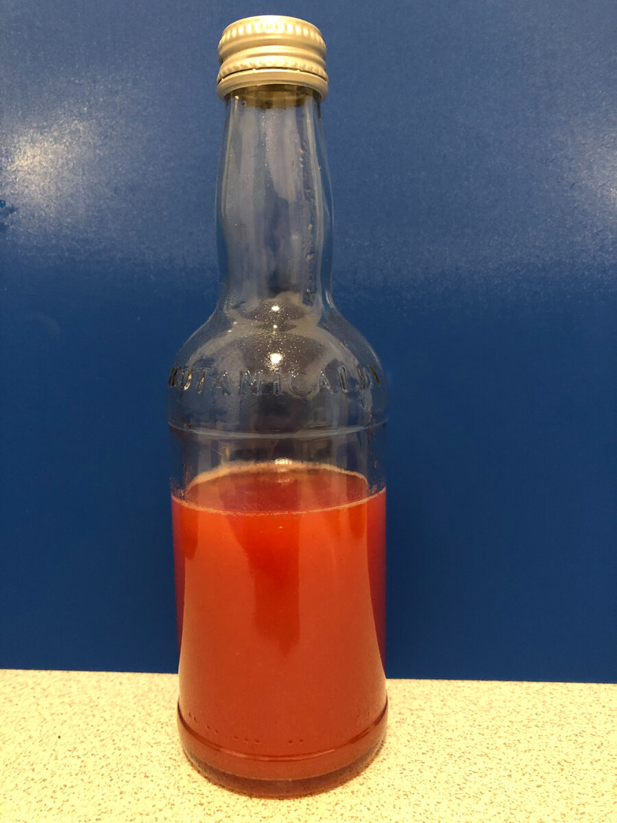 Ксю-Ксю. Фото автора. Невозможно устоять.