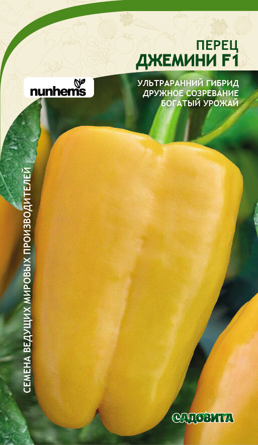 Во время плодоношения «Джемини» плоды гибрида меняют свою окраску в зависимости от степени созревания.