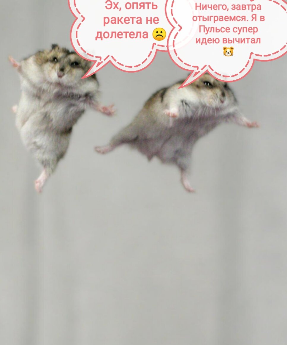 Истинные хомяки никогда не падают духом! 