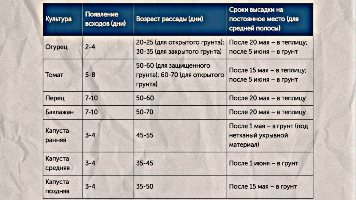 Сроки посадки в средней полосе россии. Сроки посева цветов на рассаду. Сроки высева семян на рассаду средняя полоса. Сроки посева огурцов на рассаду. Таблица со сроками посева рассады для Восточной Сибири.